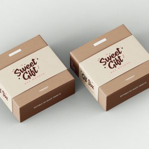 best food packing box for resturant and hotels
